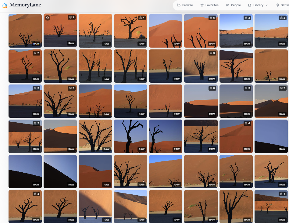 MemoryLane displaying a folder of camera RAW photographs with previews, RAW labels, and stack counts
